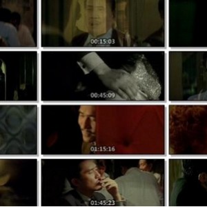 2046：王家卫的哲理爱情电影香港续集视频大小：1