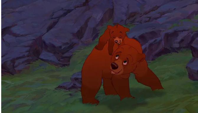 《熊的传说：换位思考与平等》-视频大小/数量:1部