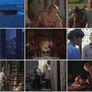 《菊豆：追求自由的勇敢女性》