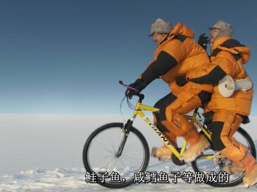 南极料理人：厨师西村淳的美味料理之旅