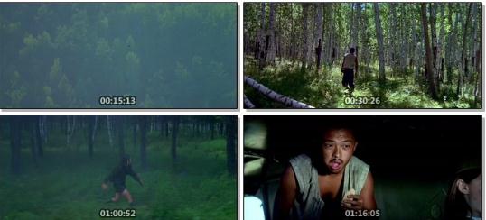 《紫日》-中国电影经典珍藏，高清画面展现生命消逝的抗日故事推荐