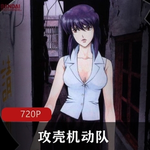 经典日本科幻动画电影《攻壳机动队》2029年信息网络之旅