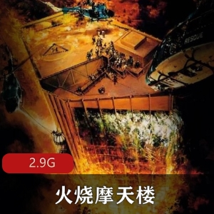 《火烧摩天楼》免费，文件大小2.9G，70年代美国灾难片经典！