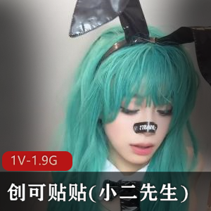 创可贴贴(小二先生)新作-布尔码+[1V-1.9G]