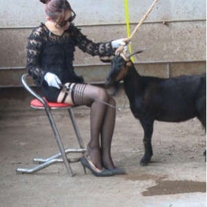 [转载搬运] 黑丝高跟鞋美女残忍骑羊 高清定制视频 [1v+600mb][多种下载方式]