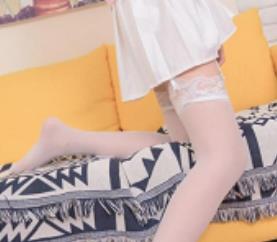 网红主播（西西JK）