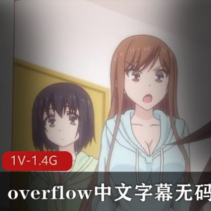 overflow中文字幕无圣光+[1V-1.4G]