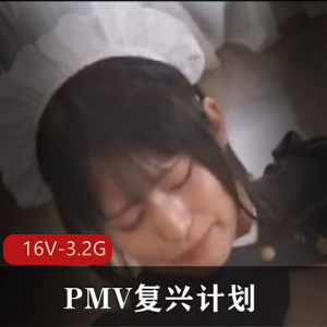 PMV复兴计划+藏经阁23.12亚洲节选2-新年精品+[16V-3.2G]