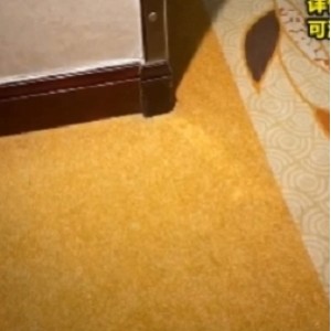 【优质稀缺】最新十月酒店民宿老板偷录各种情侣偷吃房间内互动呐喊  战况非常激烈【1V 244M 百度盘】