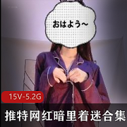 推特网红暗里着迷合集