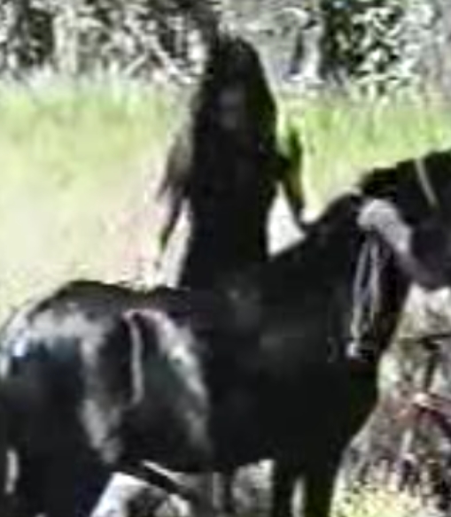 【自行打包】【】【免费价】马合集【127V27G】【百....