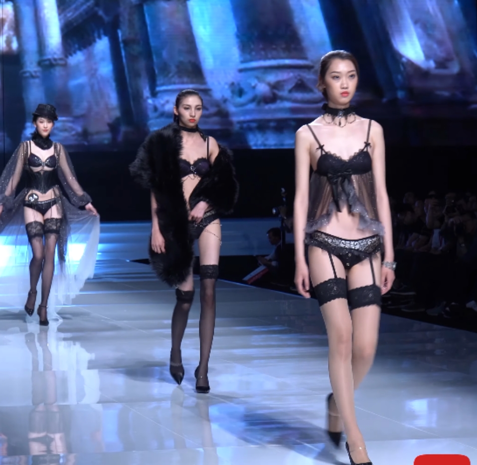 【自行打包】内衣秀超大合集【1202V+441G】【百度云资源】