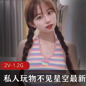 私人玩物不见星空最新优质合集