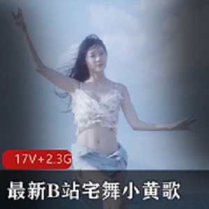 超火小黄歌改编视频合集大小2.3G，B站出品，悄悄话十足，观看必笑
