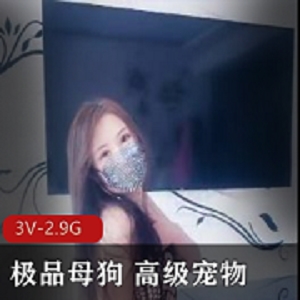 精选小狗失眠高级宠物自拍3V-2.9G妻子微信认识