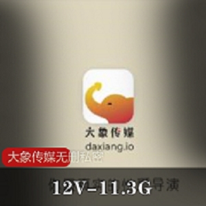 《大象传媒》无删减国产资源