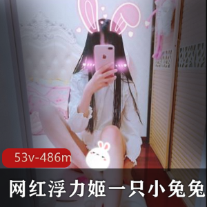 神秘美女一只小兔兔合集，浮力姬稀缺宝藏，大小约53兆