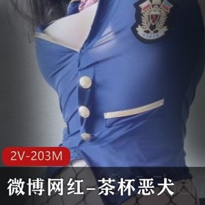 微博网红妹子茶杯恶犬作品2V203M画质散播手机退圈