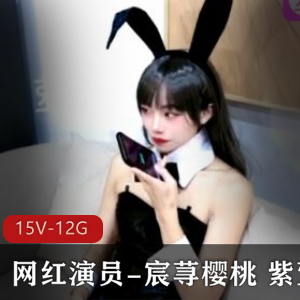 宸荨樱桃：网红演员美颜身材资源15部视频总共12.7G