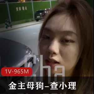 查小理勾引金主小狗，FSS精选资源1V,965M