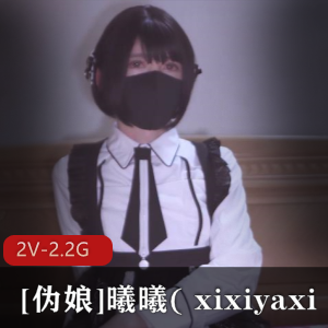 推特伪娘曦曦12月作品:打野女仆装2V,房间黑丝自娱自乐+公园长椅,2.2G资源,高兴看法