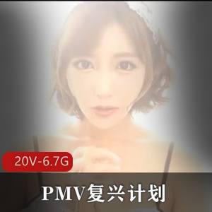PMV复兴计划:小合集20V-6.7G,咬一口兔娘、亚籍女Y作品,巨囊症精彩剪辑,三人游、极速抽C,颜S,观看