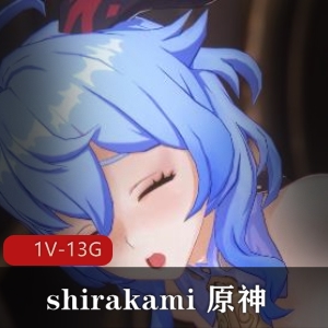 《4K60FPSshirakamix原神x崩坏三作品整合》