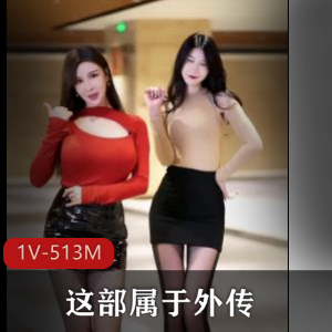 外传剧情剪辑：Y妻文化资源，用嘴美女姐姐，1V-513M-19分观看