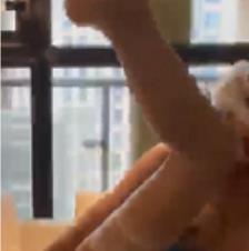 推特姐妹花私拍佳作，神情状态真实，视频大小665MB