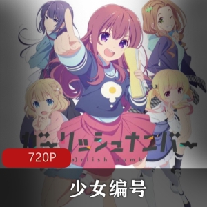 少女编号：diomedéa动画公司打造的青春剧集，声优阵容强大，现实生活主题深刻，不容错过！视频大小/数量：多集