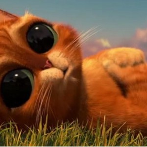 《穿靴子的猫2》：靴猫剑客新冒险，2022年9月23日上映