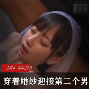 网络时代婚纱自拍案例，24V视频每个资源几十秒到两分钟！