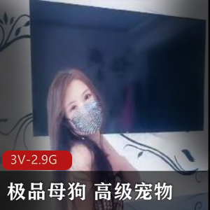 失眠高级宠物：老朝奉真实身份揭秘，微信认识妻子震惊