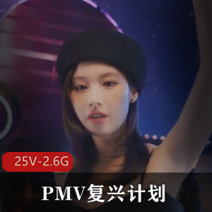 PMV复兴计划：多明佛的藏经阁，韩国天团MV，AI换脸，弹力摇，岛国打桩，抖音混剪，服装，4K超清，超热门资源