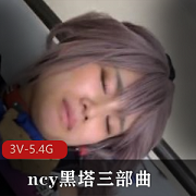 岛国cosplay黑塔三部曲团建活动，娇小L莉冒浆爆C特写视频4小时完整版