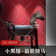 作者自拍-2V-465M-时长13分钟-爆火全网-功率超大-小腹动态-水印-小黑屋-骑马抽C-女N-双女-互T奇怪姿势-木马-喜欢的小伙伴下载