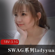 SWAG系列18V3.1G合集