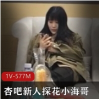 杏吧新人探花小海哥懂兵法小妹妹