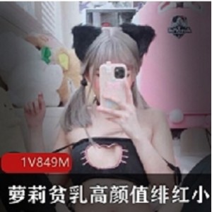 绯红小猫妹子高颜值飞机场合集