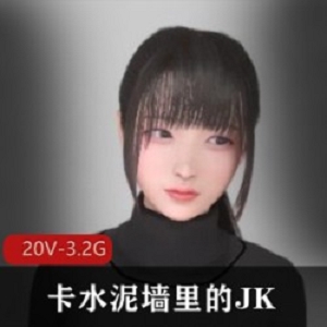 3D视频素材《卡水泥墙里的JK》