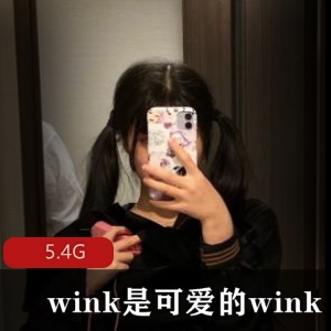 女神美腿诱惑5.4G视频合集
