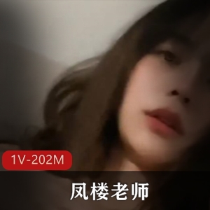 凤楼老师：吹拉弹唱技术经验丰富，车灯作品1V202M