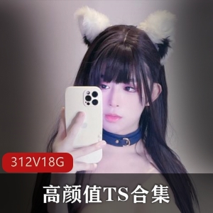 高颜值TS合集312V，18.4G，TS李智贤、TSdingkubel等露脸TS，推特OnlyFans必收！