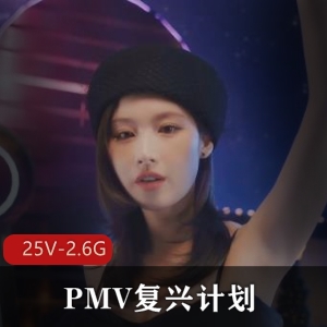 PMV复兴计划：韩国天团MV混剪，AI换脸，4K超清