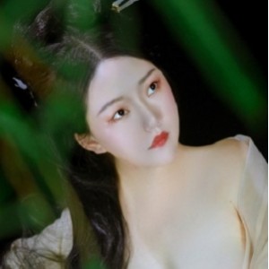 推特网传-古装风系列合集