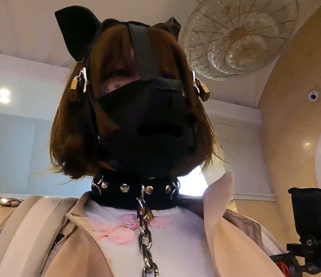 《满月之夜：小合集》-视频齐全，恶趣味闪现，收藏必备