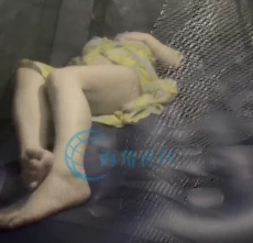 自行打包的海角feng+ru+fei+tun姐姐合集720M百度盘