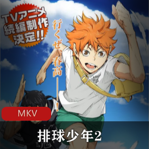 《排球少年2》粤语中字动画全集免费下载
