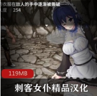 蕾姆女仆：刺客之心