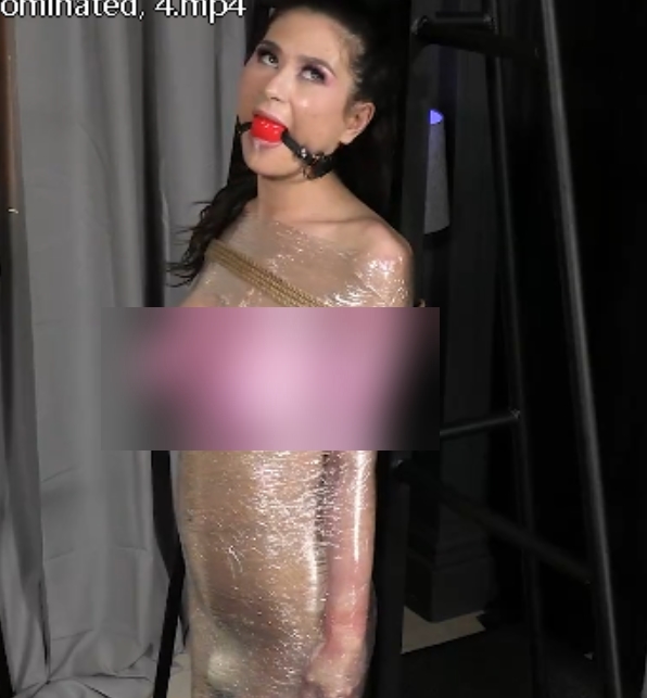 炙热摇柰子：ja失眠inewilde自行打包视频合集